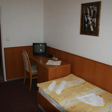 Hotel Mineral