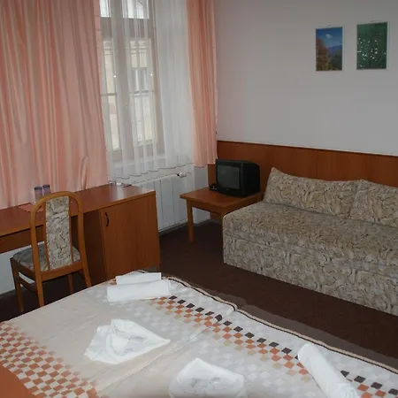Hotel Mineral 3*