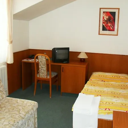 Mineral Hotel Zlaté Hory