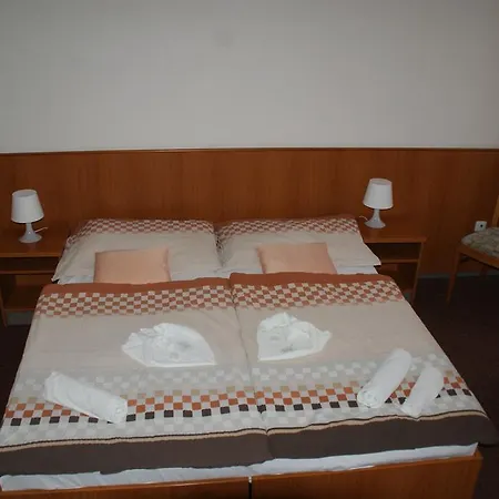 Mineral Hotel