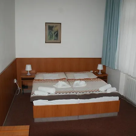 Hotel Mineral 3*